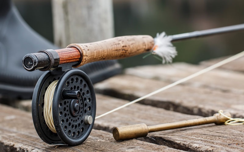 Fishing Rods and Reels